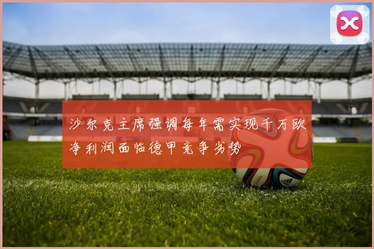 沙尔克主席强调每年需实现千万欧净利润面临德甲竞争劣势