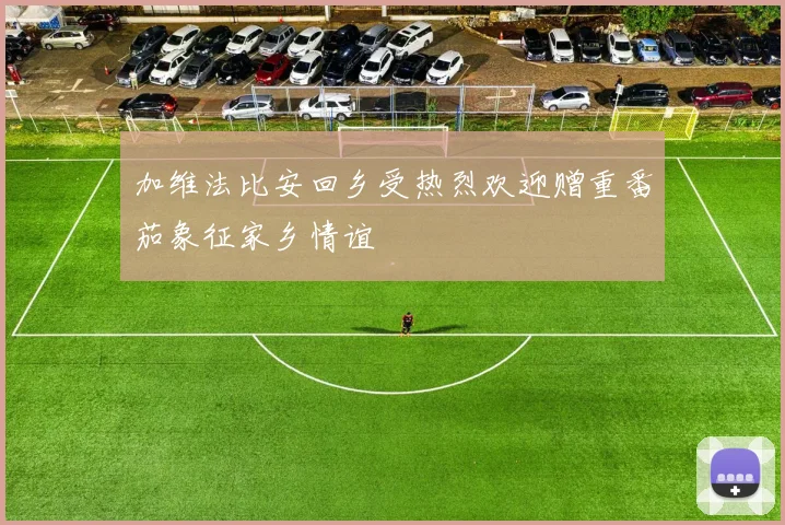 加维法比安回乡受热烈欢迎赠重番茄象征家乡情谊